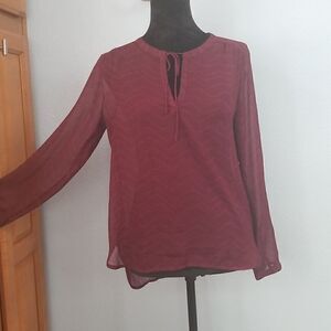 Gap sheer long sleeved shirt